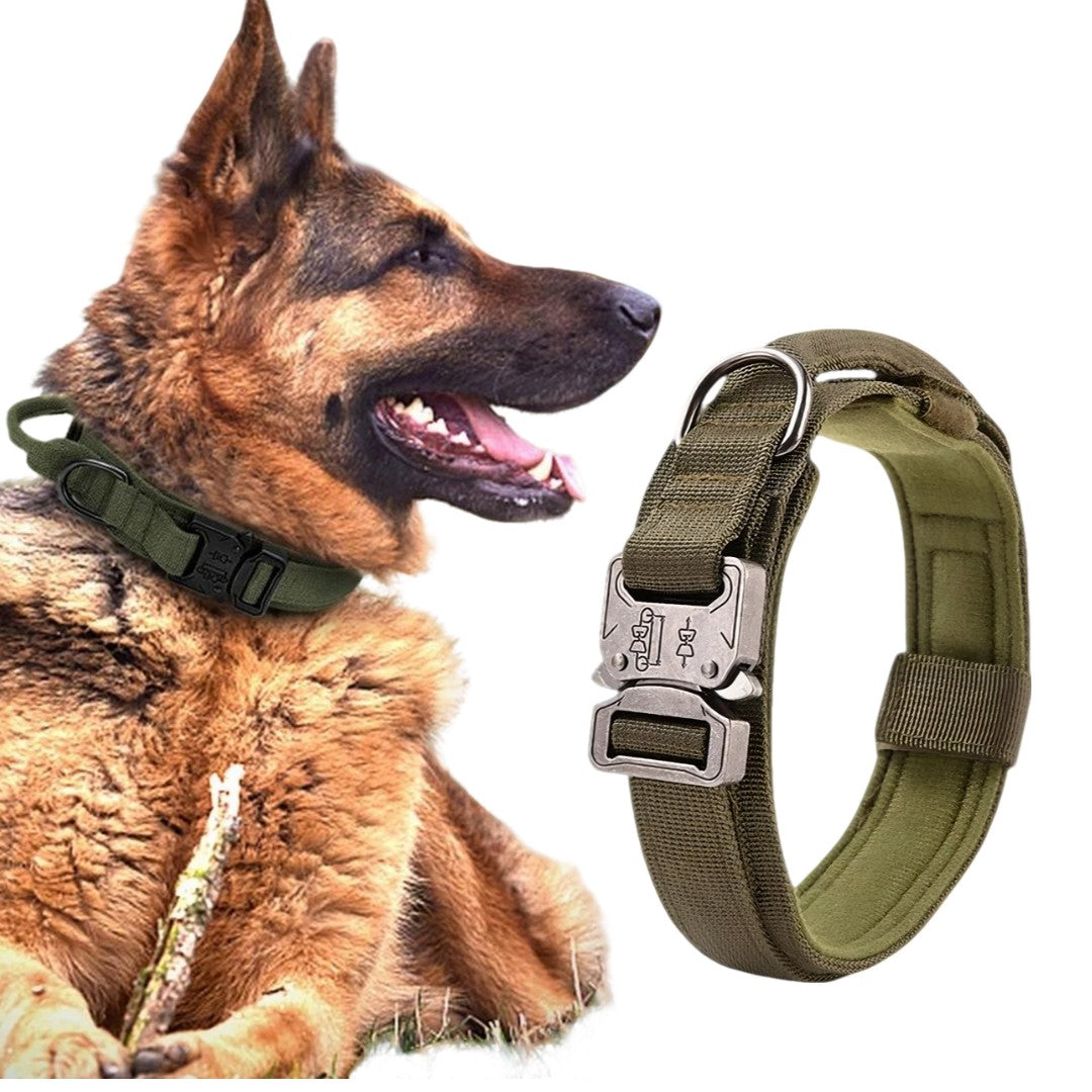 Collar Para Perro Táctico Ajustable