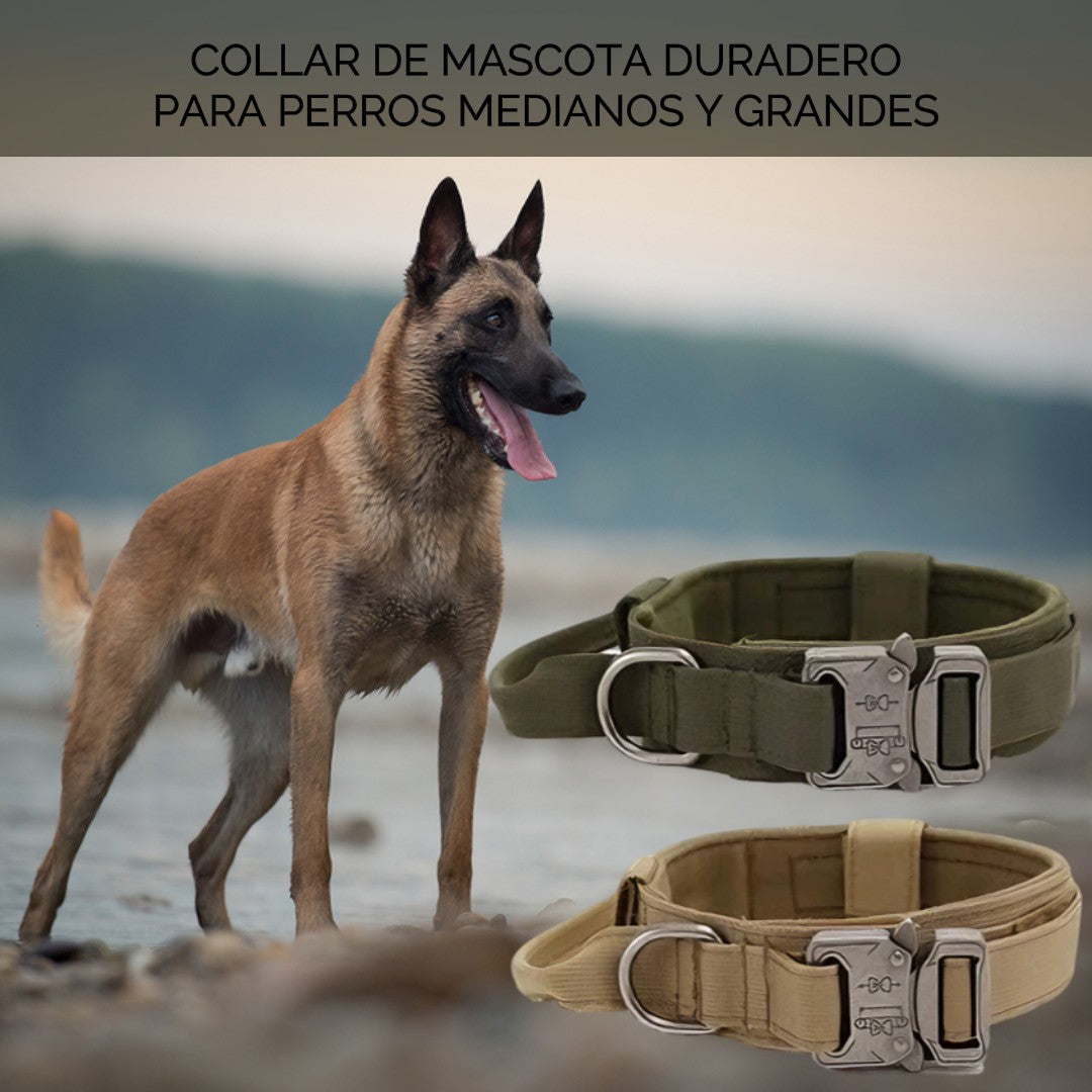 Collar Para Perro Táctico Ajustable