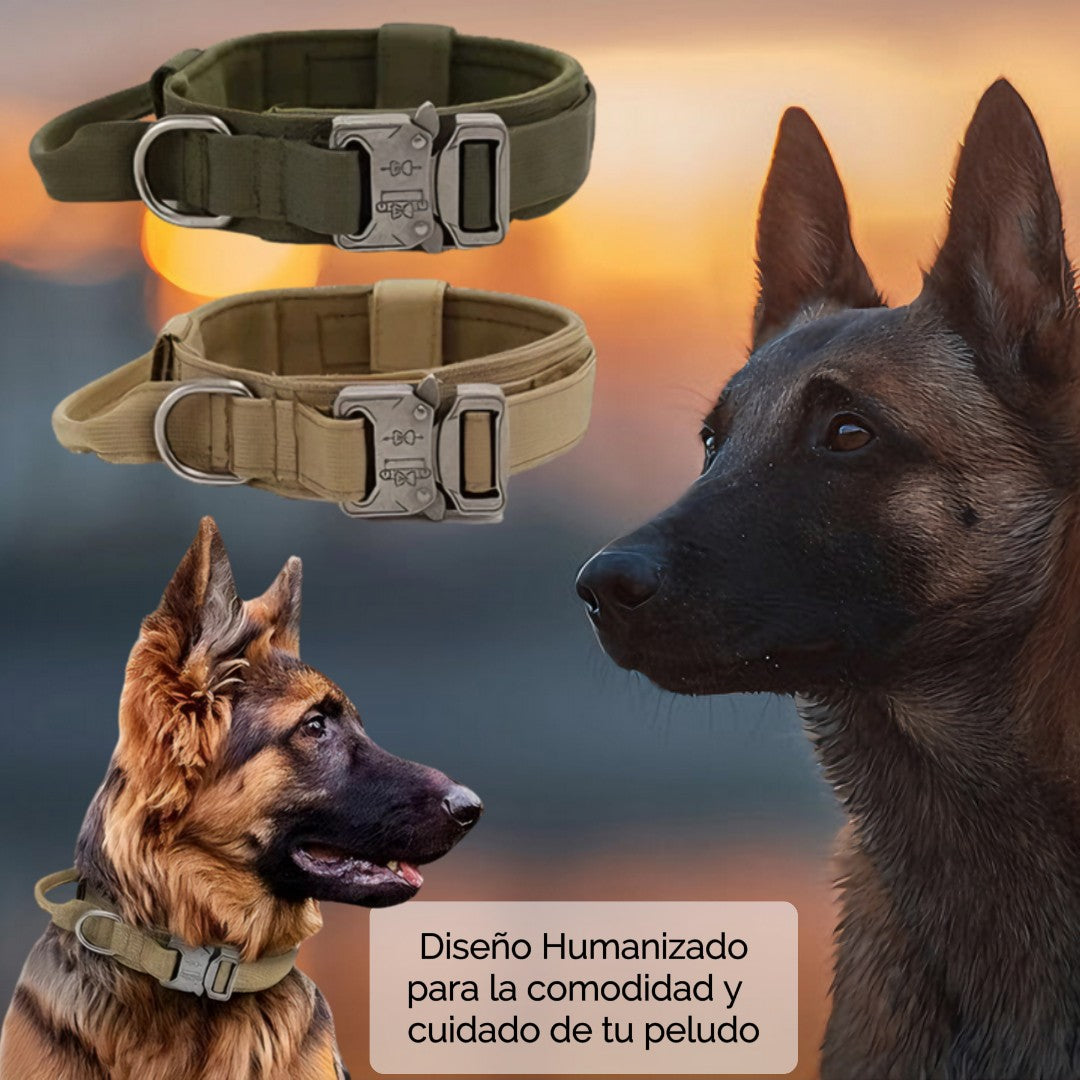 Collar Para Perro Táctico Ajustable
